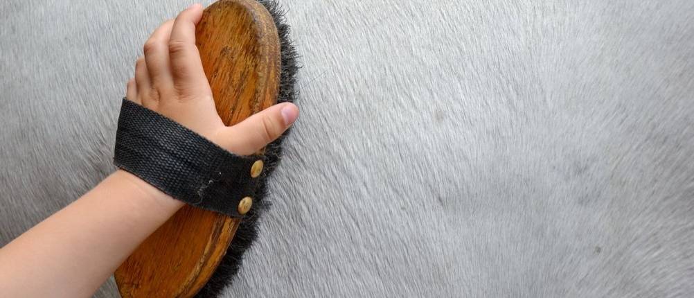 hufschuhe-equine-fusion
