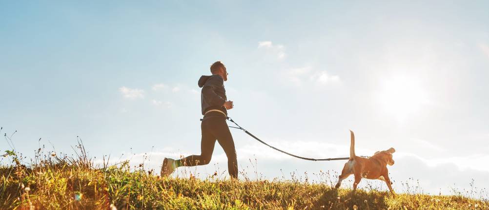 Hunde-Joggingleine-Test