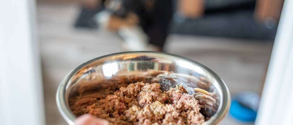 Nassfutter-Hund-hoher-Fleischanteil-Test