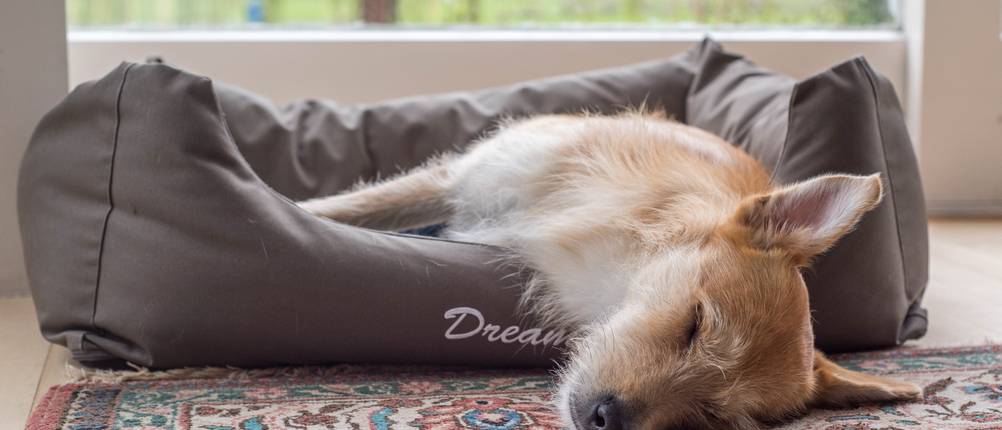 hundebett-knuffelwuff-test
