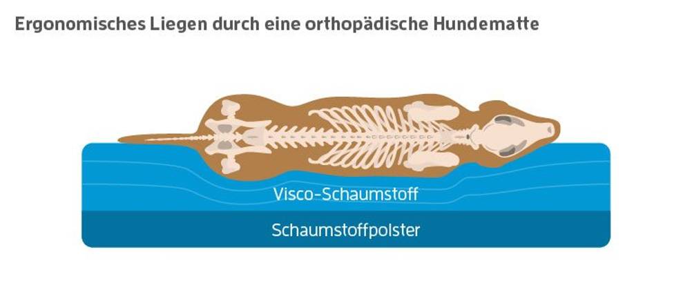 hundebett orthopaedische matratze