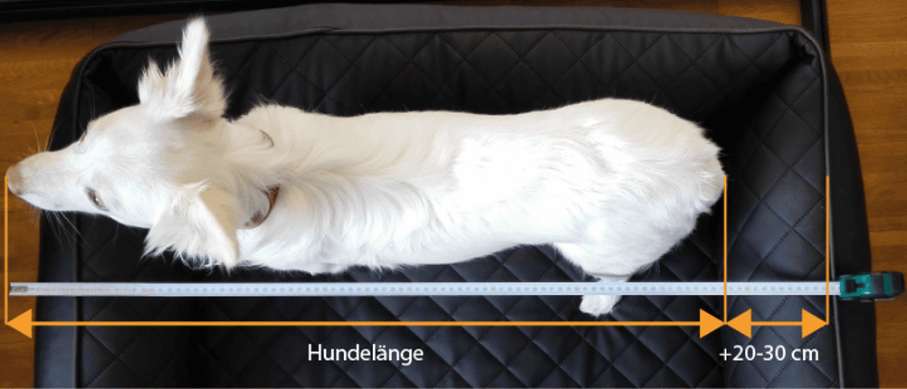 hundebett welche groesse
