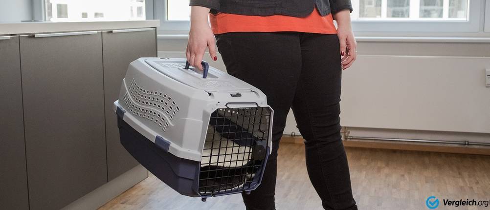 beste hundebox kaufen