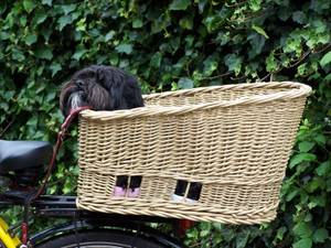 Hundefahrradkorb Weide