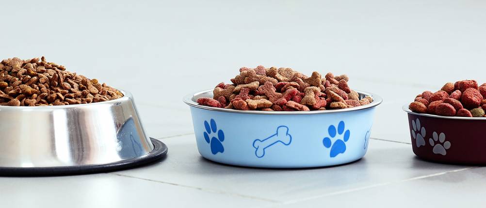 Lachsöl Hunde Testsieger