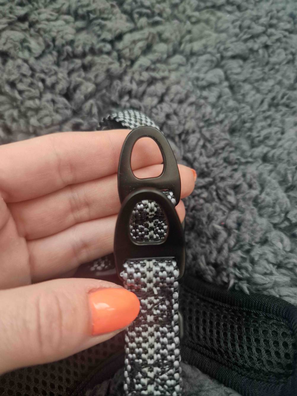 Nahaufnahme der Ösen an einem getesteten Hundegeschirr von einer Hand gehalten.