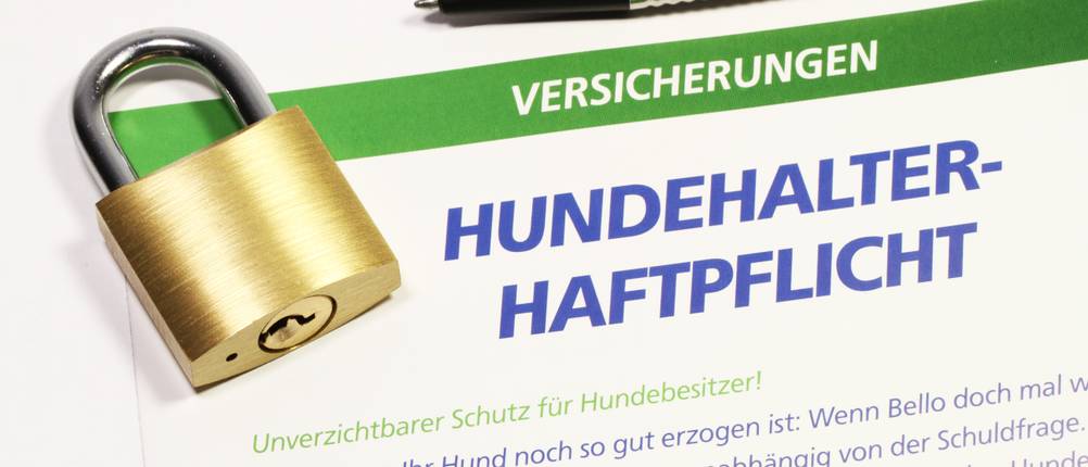 Hundehaftplficht-Test: Auf einem Dokument mit der Aufschrift Hundehalterhaftpflicht liegen ein Kugelschreiber und ein Schloss.