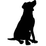Hundehaftpflichtversicherung