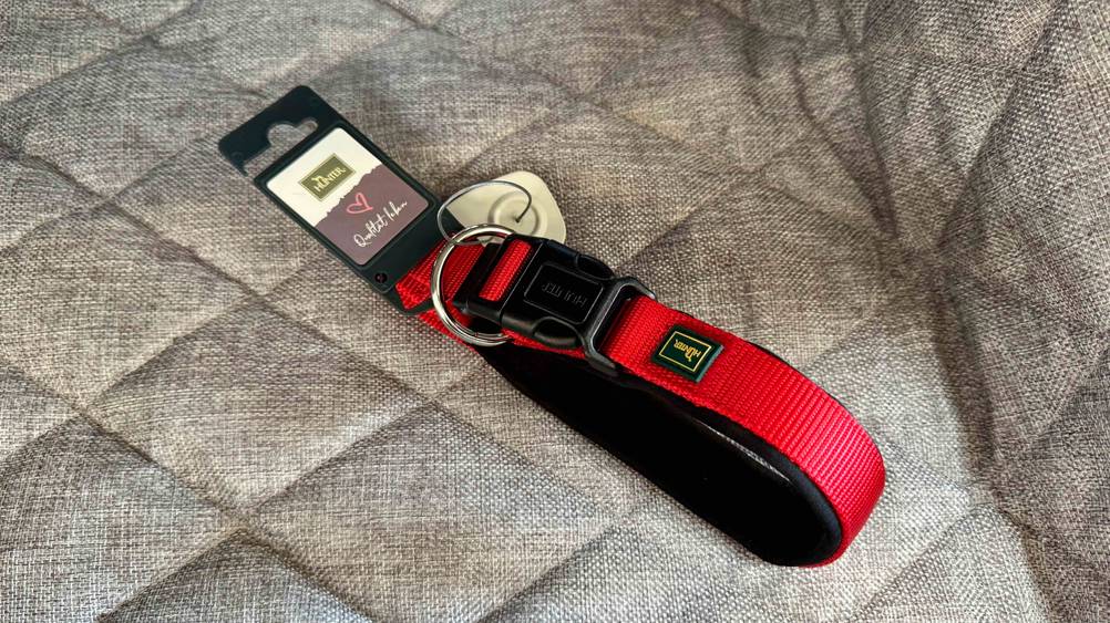Hundehalsband im Test: Ein rotes Hundehalsband auf eine grauen Stoff.