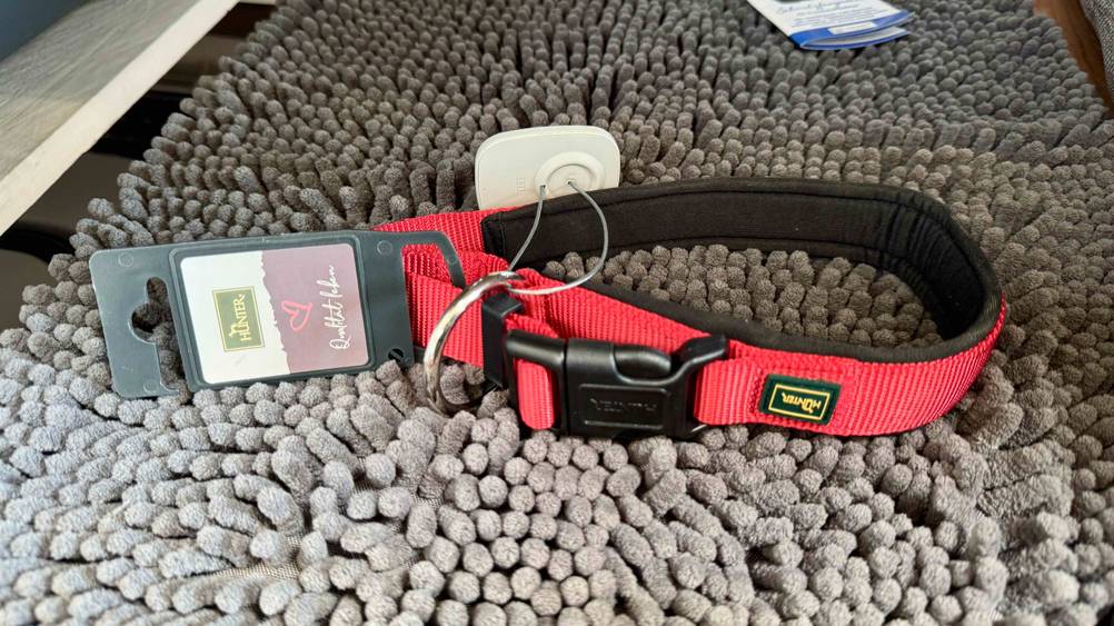 Getestet: Ein Hundehalsband auf einem grauen Teppich liegend.