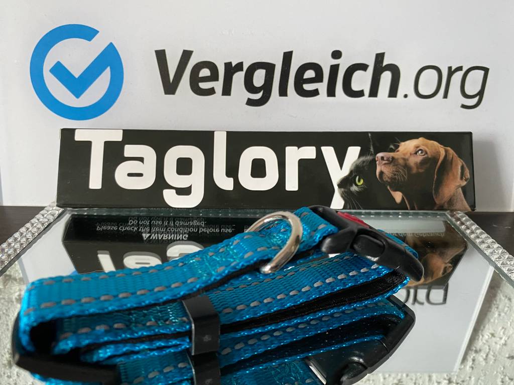 Taglory Hundehalsband DC062
