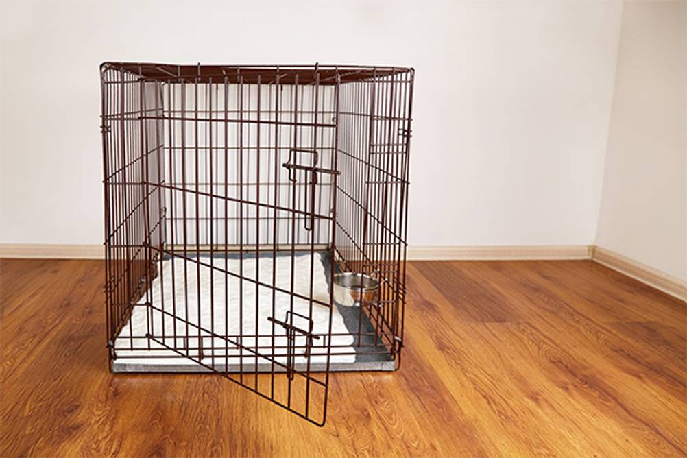 Hundekäfige im Test: Ein sauberer Metallkäfig mit einer weißen Matte darin.