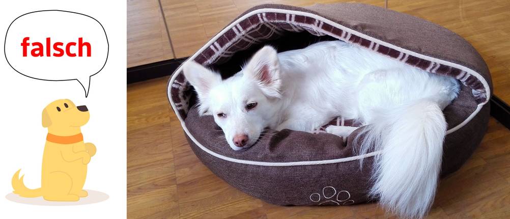 kleines hundebett