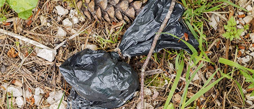 biologisch abbaubarer Hundekotbeutel im Test: ein schwarzer Beutel liegt auf einer kleinen Grasfläche