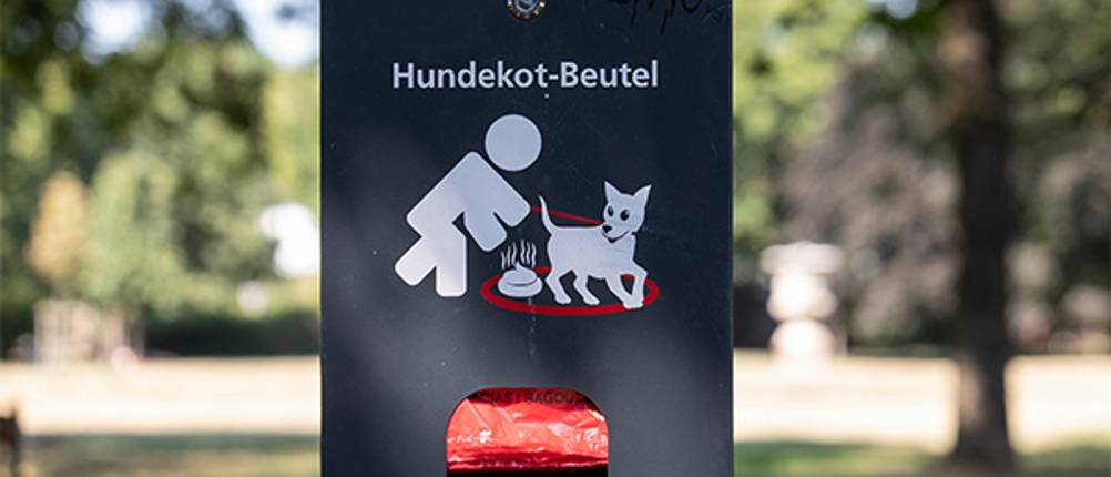 Hundekotbeutel im Test: Ein öffentlicher Hundekotbeutel-Spender an einem öffentlichen Ort.
