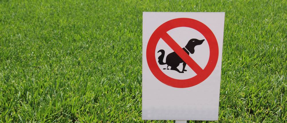 Hundekotbeutel-Test: Ein Schild, welches verbietet, dass Hunde ihr Geschäft auf der Wiese verrichten.