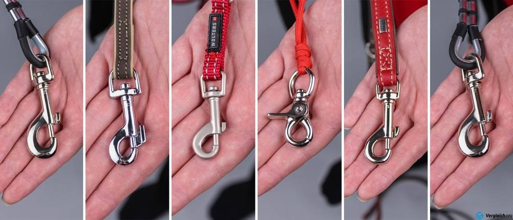 Hundeleine kleiner karabiner