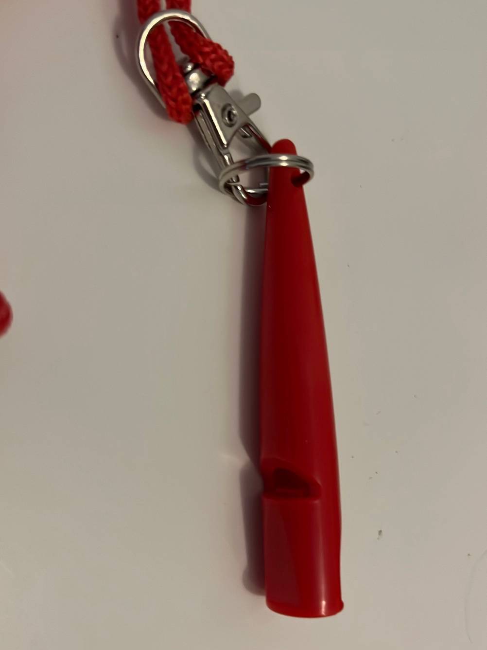Hundepfeife getestet: Nahaufnahme einer Pfeife an einem Karabiner auf einer hellen Oberfläche. 