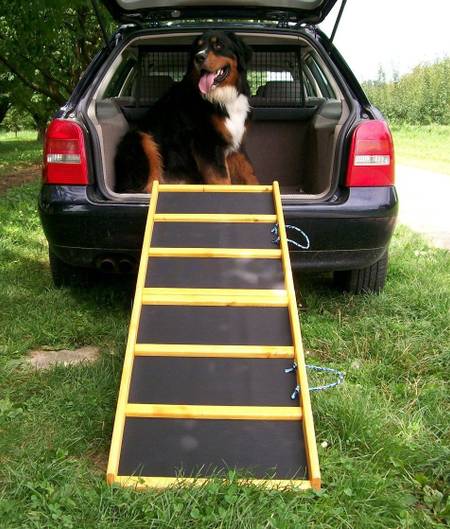 Hunderampe Hundetreppe Auto Kofferraum Treppen Rampe Einstiegshilfe für  Hunde Klappbar Aluminium Auswahl Längen 122 cm Petigi