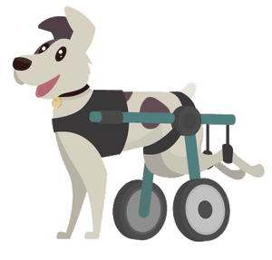 Hunderucksack für große Hunde