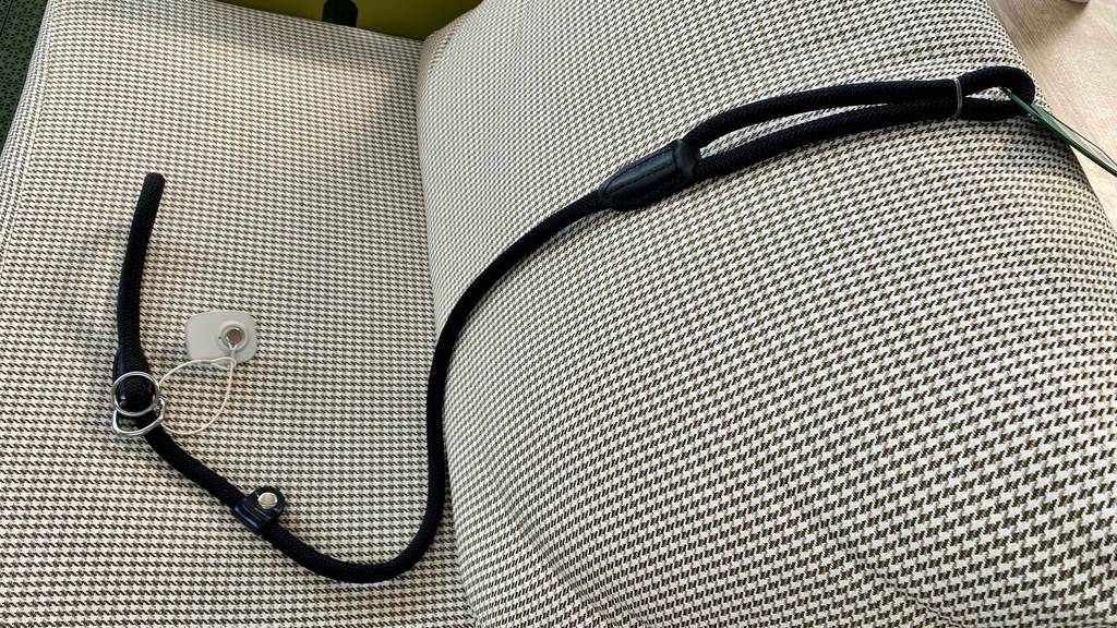 Eine getestete Retrieverleine liegt von oben nach unten über ein Couchkissen.