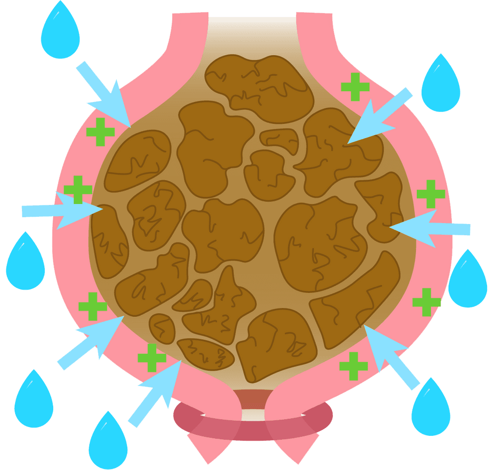 hydragoge mittel