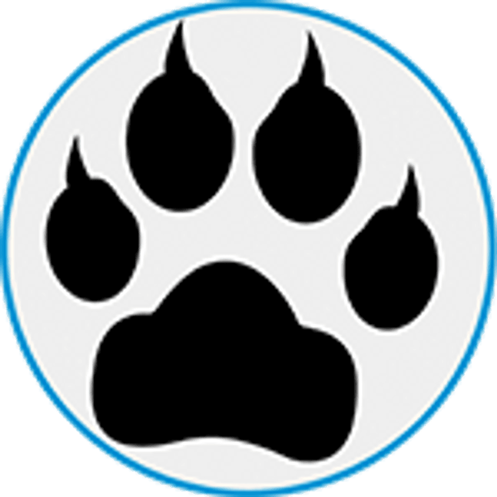 icon hund