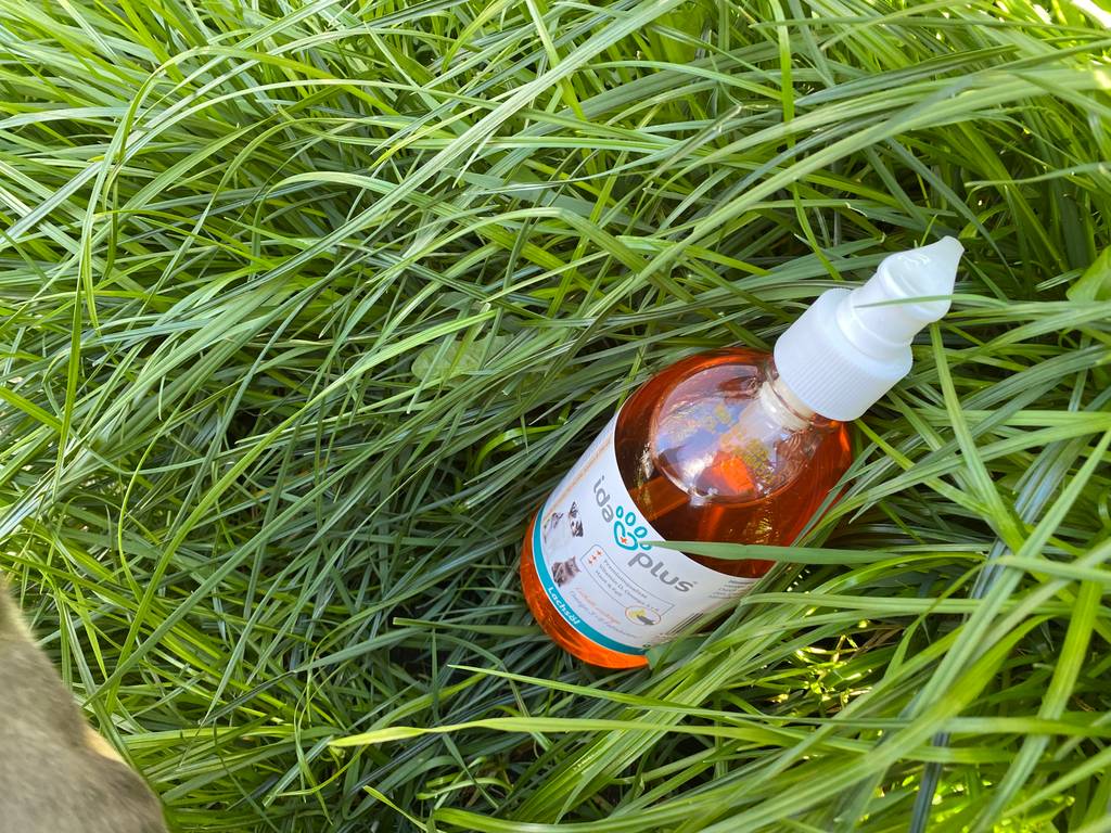 Lachsöl Packung im Gras.