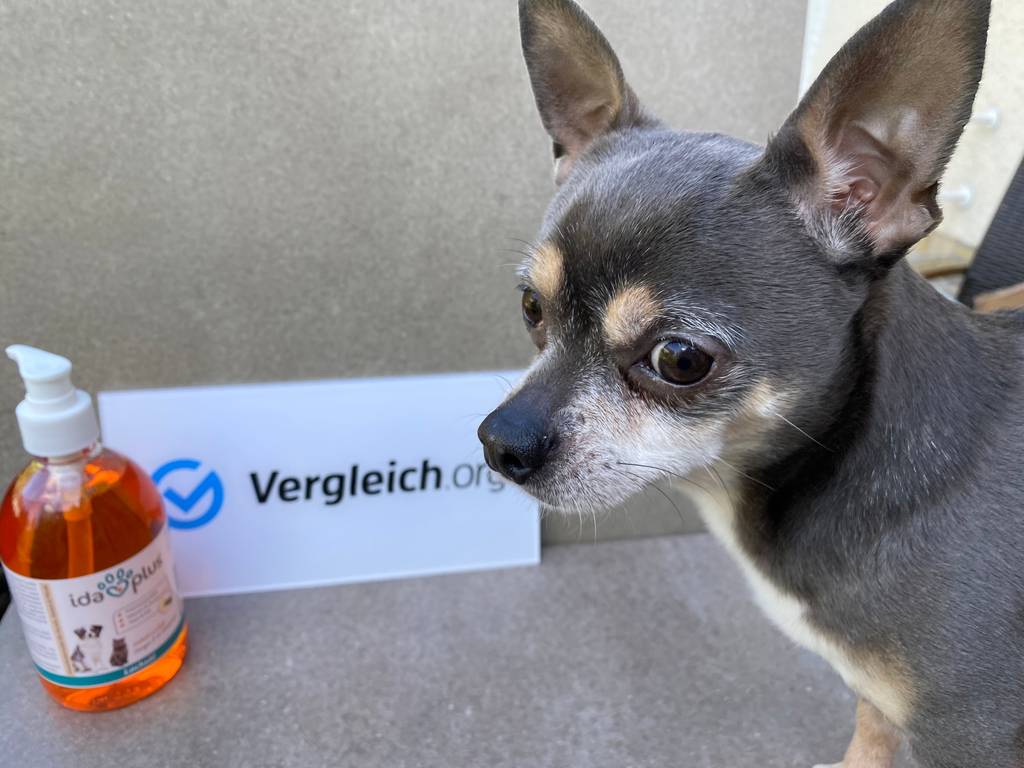 Lachsöl und kleiner Hund zu sehen.
