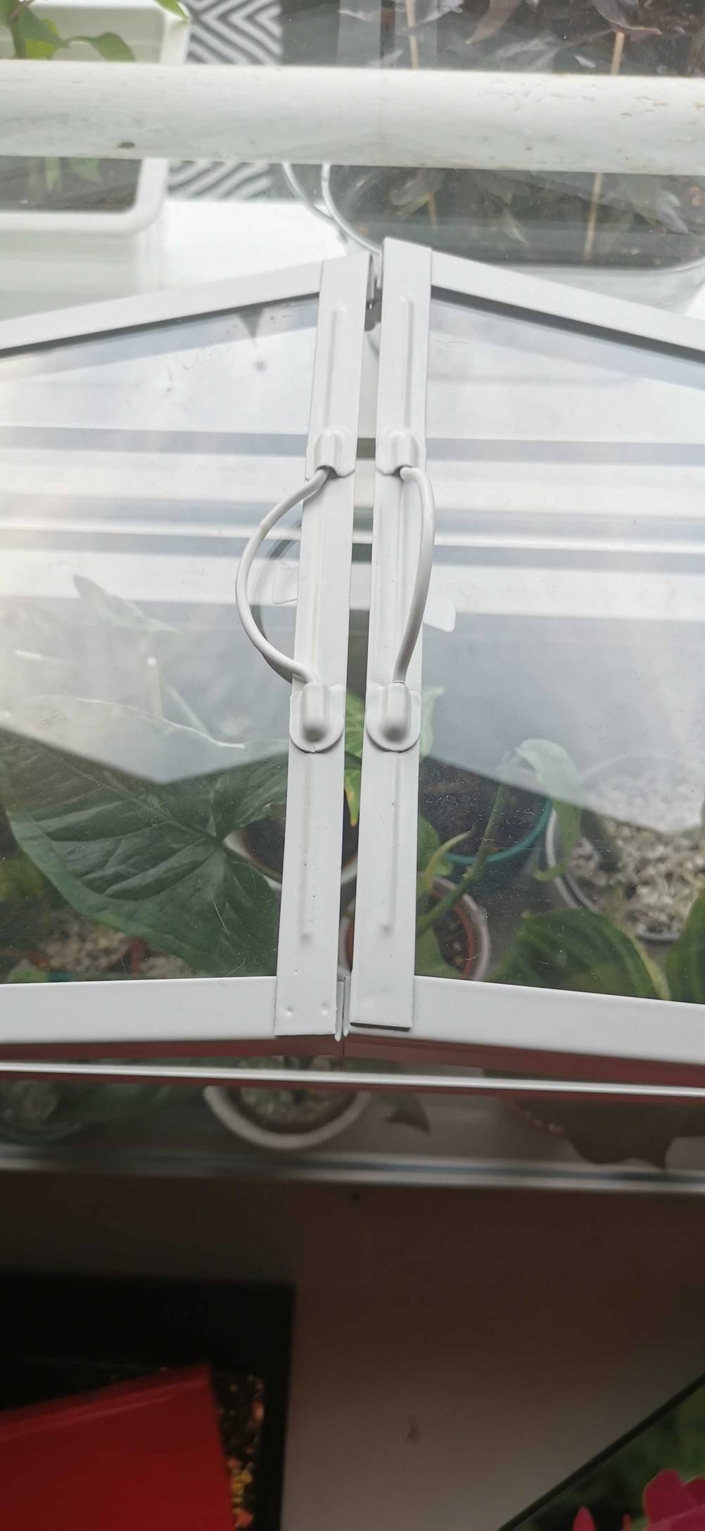 Zimmergewächshaus im Test: Detailansicht der Griffe der aufklappbaren Glasdeckel.