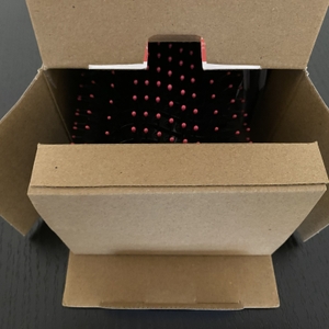 Die geöffnete Verpackung der Revlon Professional RVDR5222 Warmluftbürste.