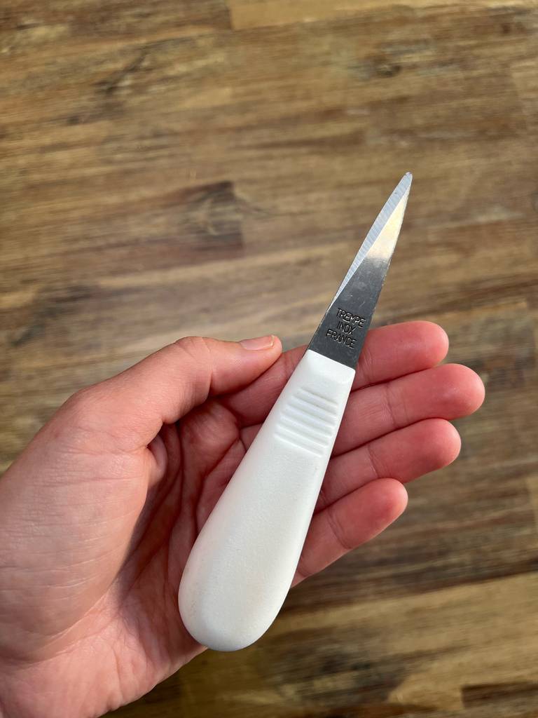 Ein getestetes Austernmesser inklusive eines weißen rutschfesten Griffes liegt auf einer Handfläche.