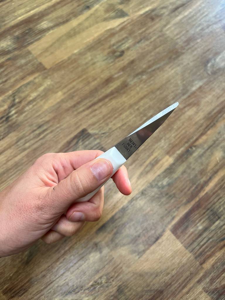 Eine Hand hält ein Austernmesser am weißen Handgriff.