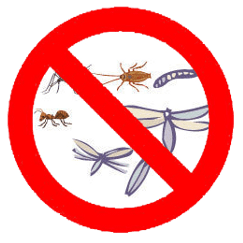 Insektenabwehr-Methode