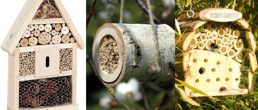 insektenhaus vergleich