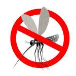 Insektenkiller ohne Chemie