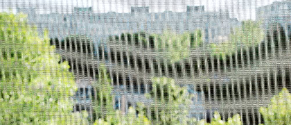 insektenschutzrollo fenster