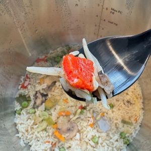 Auf einem Löffel liegen Reis und Gemüse aus dem Instant Pot Pro Crisp