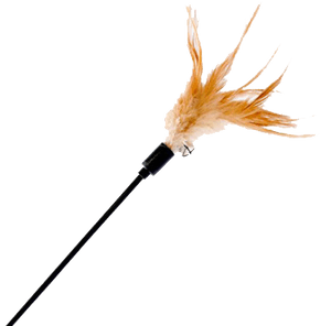 federwedel