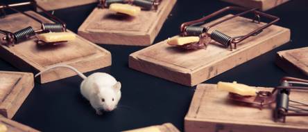 ISOTRONIC Anti-Maus Vertreiber Abwehr Falle Maus Ratte