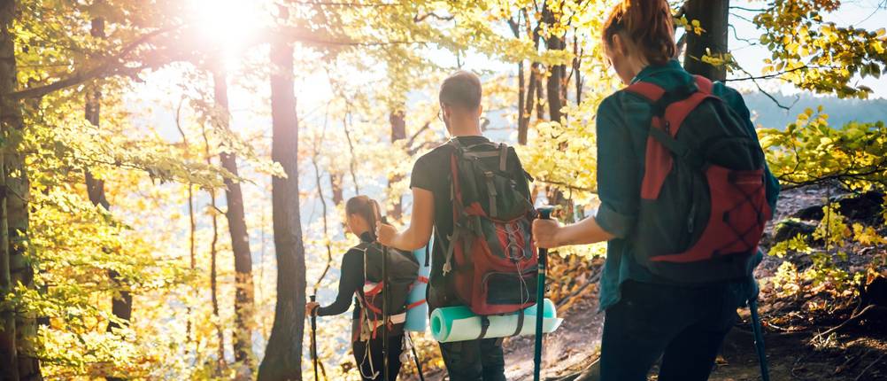 jack-wolfskin-rucksack-30l