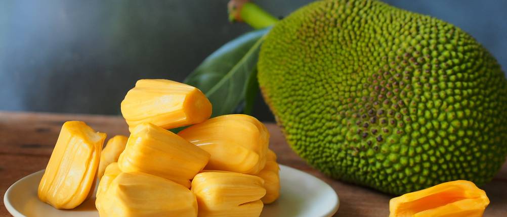 jackfruit-test