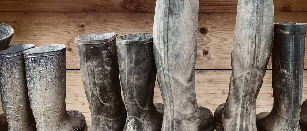 jagd-gummistiefel-test