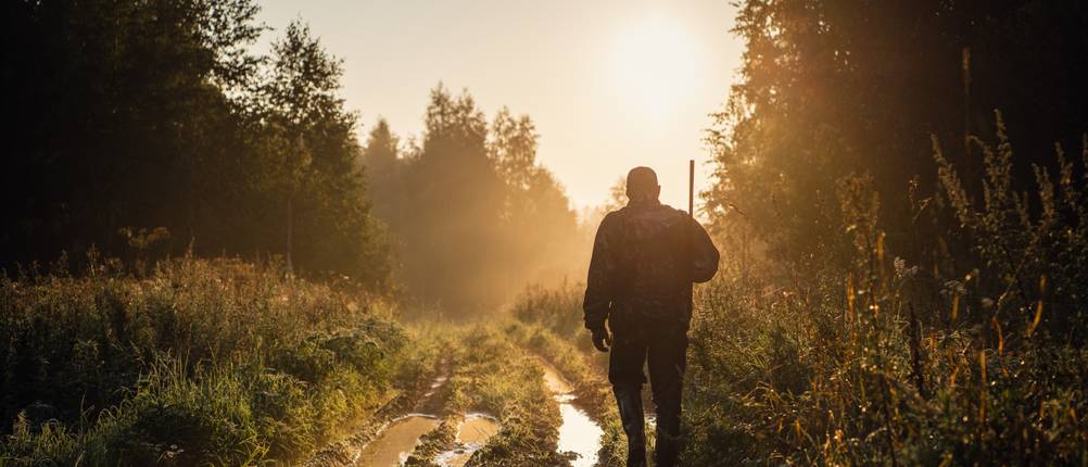 Jagdhandschuhe-Test: Ein Mann mit einem Gewehr geht einen Waldweg entlang.