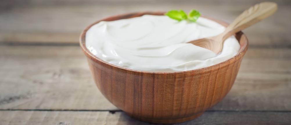 Joghurtkulturen-Test