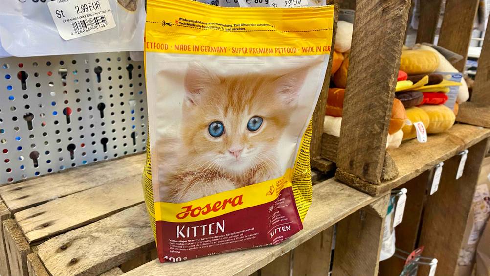 Im Test: Eine Packung Kitten-Trockenfutter auf einer Holzkiste.