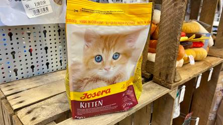 Top 10 Kitten-Trockenfutter: Test & Vergleich