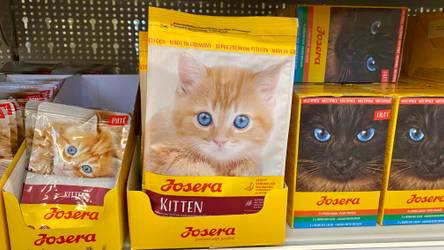 Top 10 Kitten-Trockenfutter: Test & Vergleich
