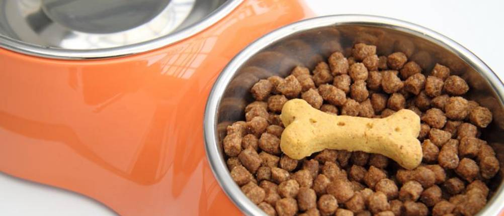 josera-trockenfutter-hund-test