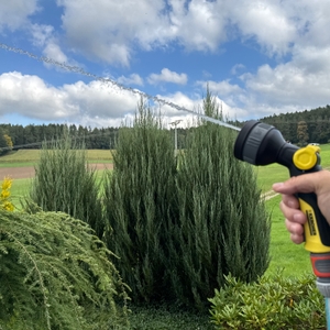 Ein dünner Strahl kommt aus der Kärcher-Multifunktions-Spritzpistole Plus